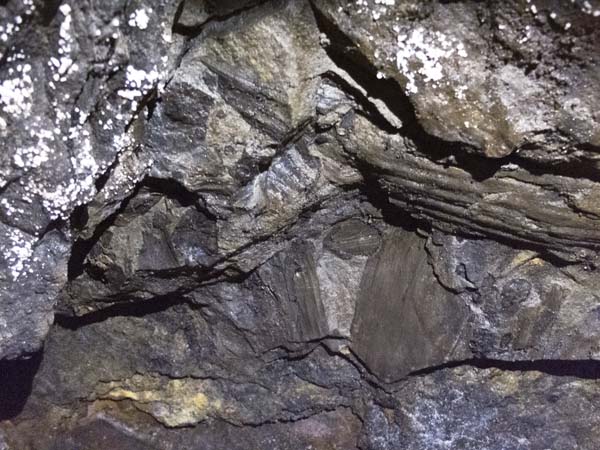 Coal,Hopewell Colliery,Coleford,Royal Forest of Dean,Coal Mine