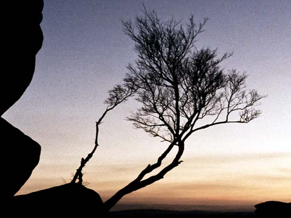 Brimham Rocks,Sunset,Sky,Trees
