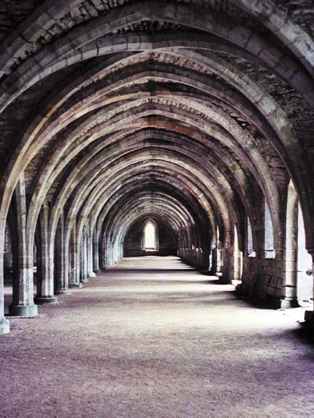 Fountains Abbey,Church,Undercoft