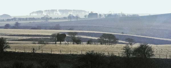 Kings Play Hill