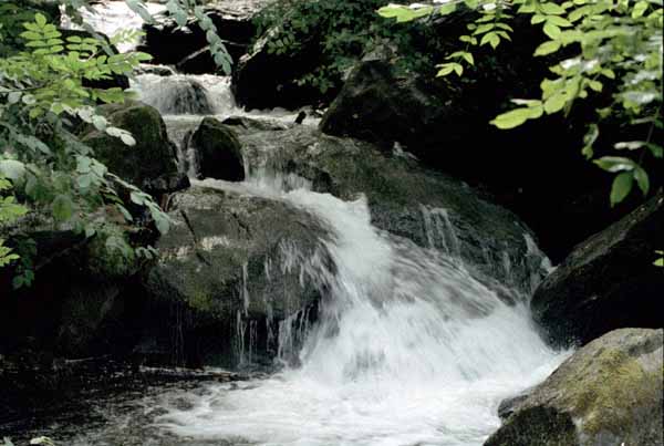Lynmouth,Waterfalls,Waterfall,Falls