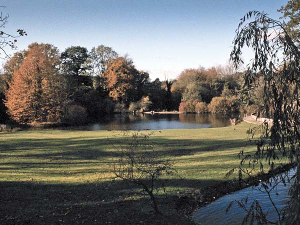 Devizes,Drew's Pond,Trees