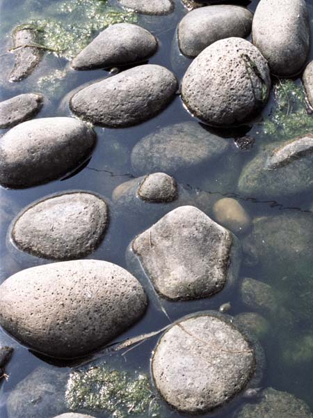Stream,Pebbles
