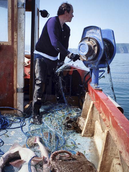 Newport,Fishing Boat