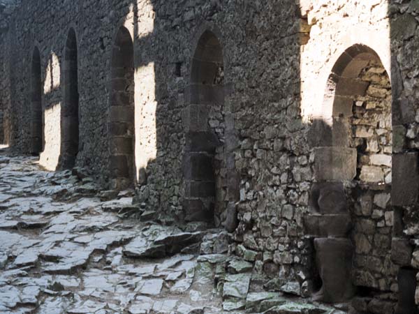 Chepstow Castle