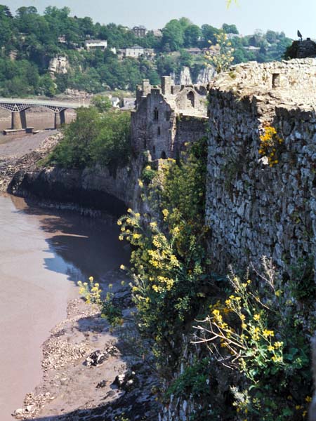 Chepstow Castle,River Wye