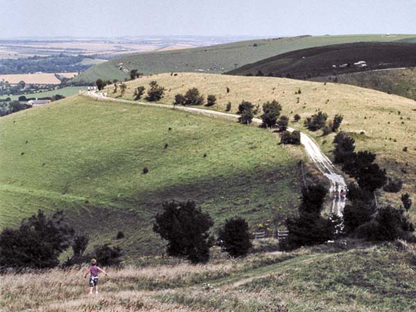 Win Green,Downs,Road