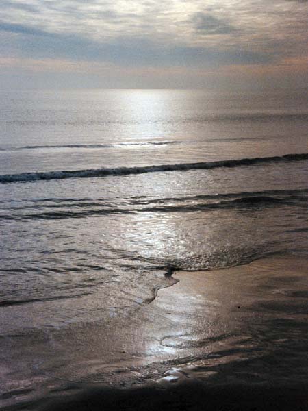 Sandbanks