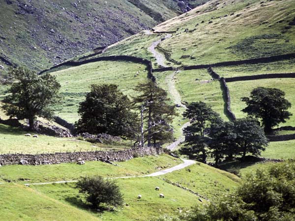 Hartsop,Pasture Bottom,Mountains,Road