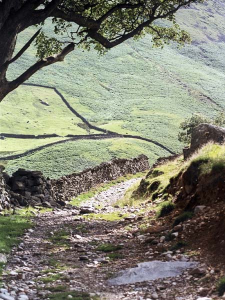 Path,Hartsop,Lake District