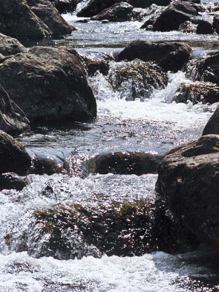 Hartsop,Pasture Bottom,Stream,River