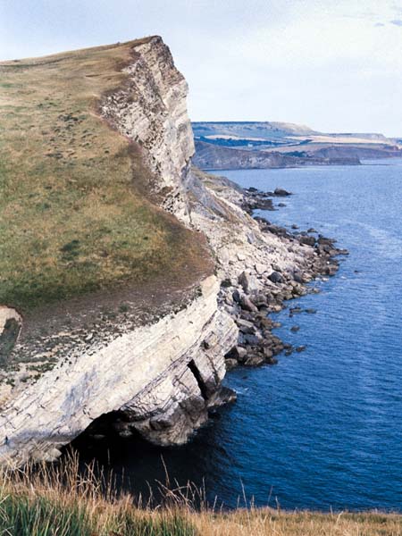 Worbarrow Tout,Cliffs,Purbeck