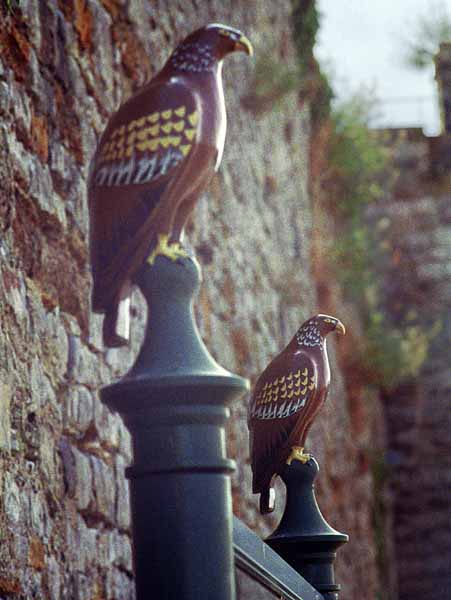 Caernarfon,Birds