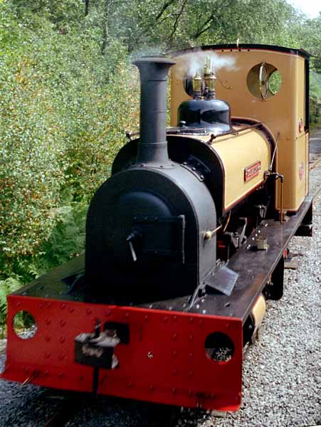 Llanberis Lake Railway,Rheilffordd Llyn Padarn,Narrow Gauge,Heritage,Steam Engine,Locomotive,Dolbadarn