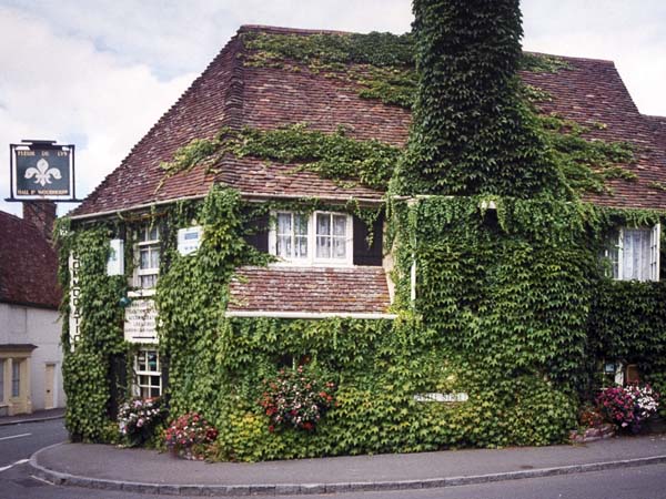 Fleur de Lys Pub,Cranborne