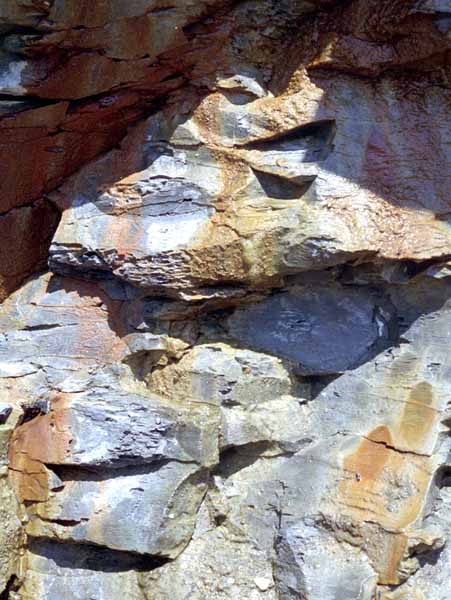 Kimmeridge,Rocks,Ironstone,Purbeck