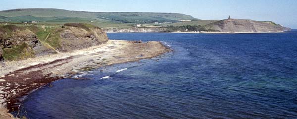 Kimmeridge,Sea,Cliffs,Purbeck