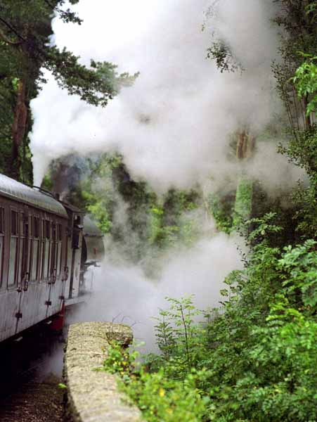 Bodmin and Wenford Railway,Heritage,Steam Engine,Locomotive,Train