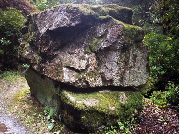 Pencarrow,Rock