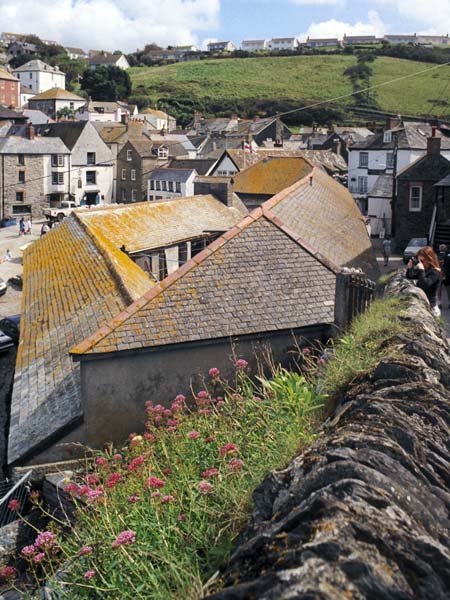 Port Isaac,Fish,Pilchard Sheds