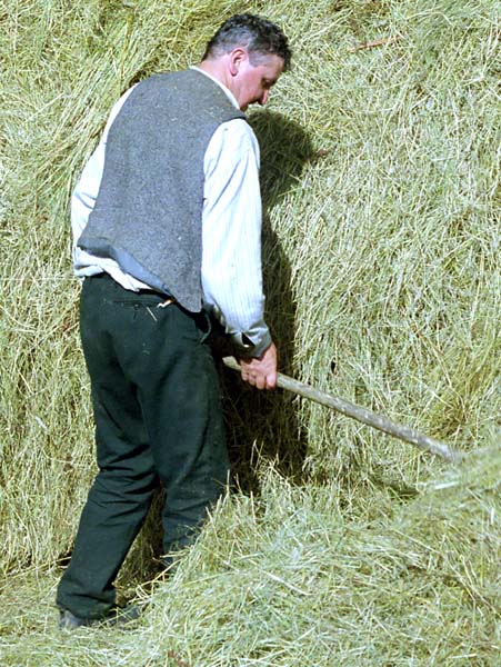 Killarney,Cill Airne,Muckross Traditional Farms,Haystack