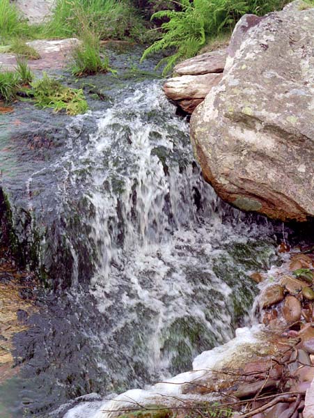 Coonanna Harbour,Stream