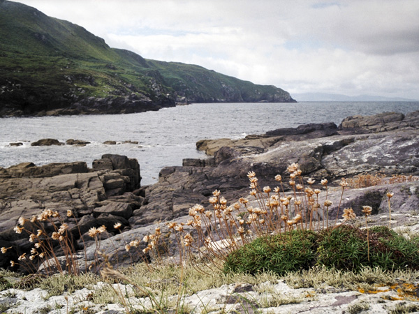 Coonanna Harbour