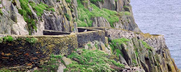 Skellig Michael,Scielg Mhichíl,Scielg Mhichil,Path