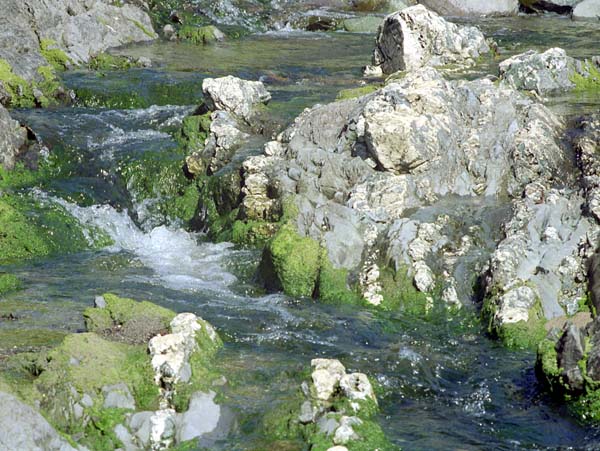 Rocks,Bá Fhíonáin