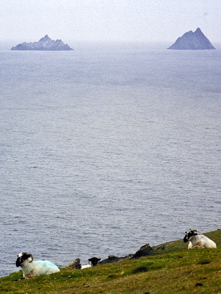 Valentia Island,Oilean Dairbhre,Bray Head,Skelligs