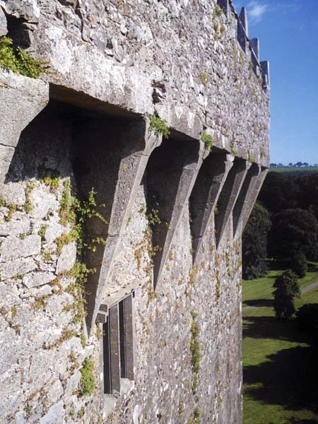 Blarney Castle,Blarney Stone