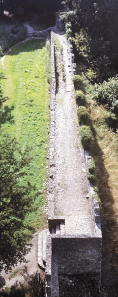 Blarney Castle,Wall