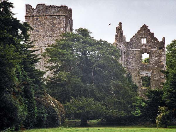 Dunganstown Castle,Wicklow,Cill Mhantáin,Cill Mhantain