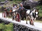 Two Jaunting Cars