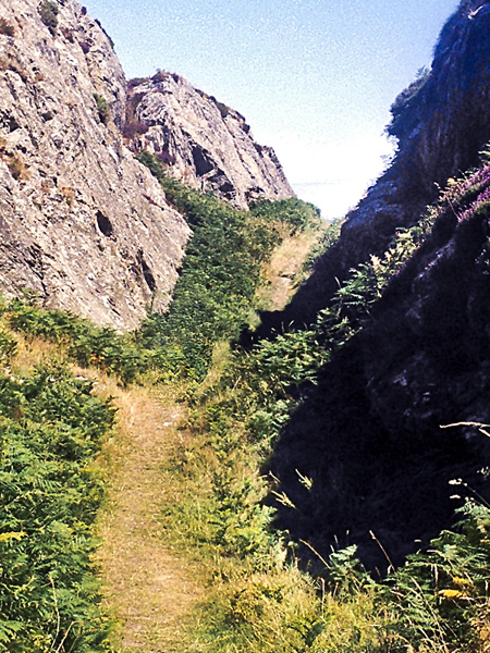 Wicklow Head,Path