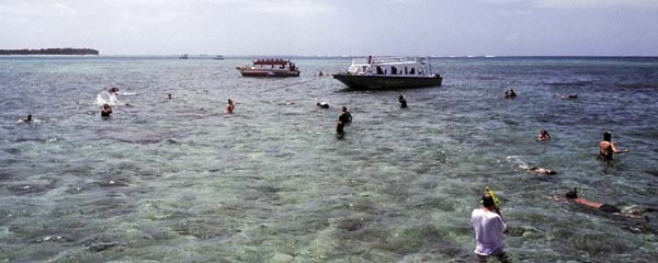 Nylon Pool,Buccoo Reef