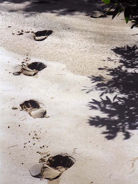 Footsteps,No Man's Land