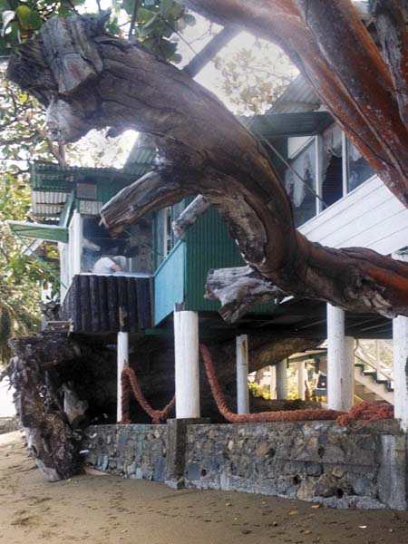 Jemma's Treehouse,Jemma's Seaview Restaurant,Speyside