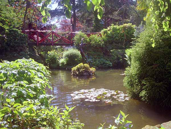 Poole,Compton Acres Gardens,Pond