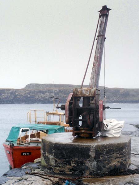 Isle of Eigg,Island,Glamisdale,Crane