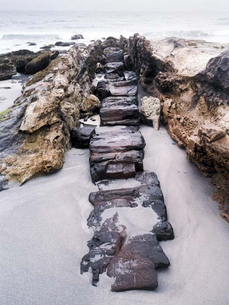 Isle of Eigg,Island,Singing Sands,Rocks