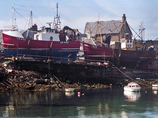 Mallaig Harbour,Fish,Fishing Boats
