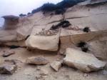 Cliffs Daħlet Qorrot