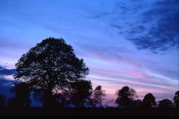 Rowde,Sky,Sunset
