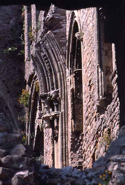 Tinterne Abbey,Church,Ruins