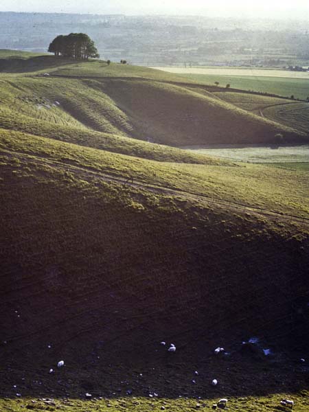 Cherhill Down,Sky