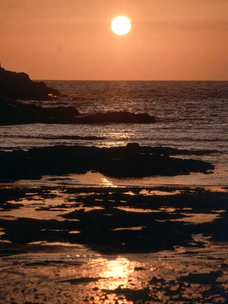 Port Isaac,Port Gaverne,Beach