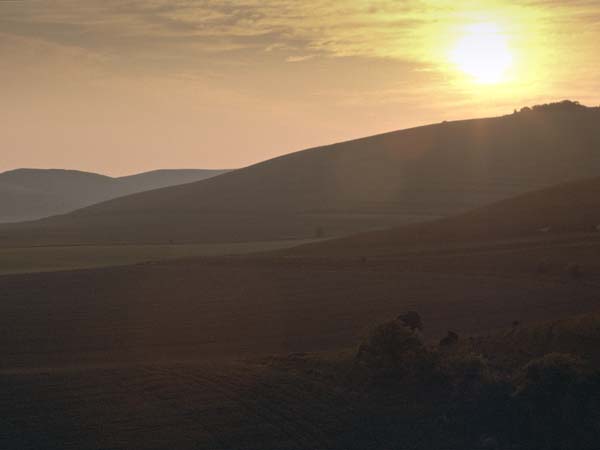 Sunset,Knapp Hill