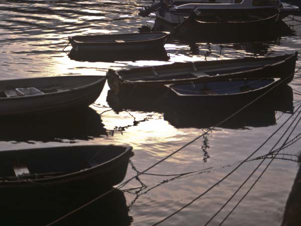 Fishguard,Abergwuan,Boats