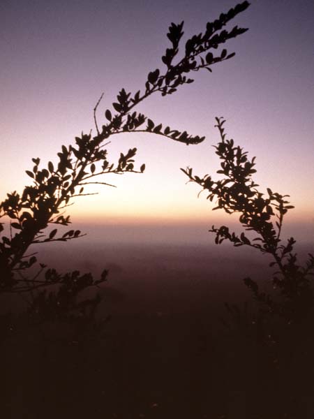 Sunset,Roundway,Wiltshire